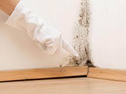 Best Mold Removal for HVAC Installations in Seabrook, MD